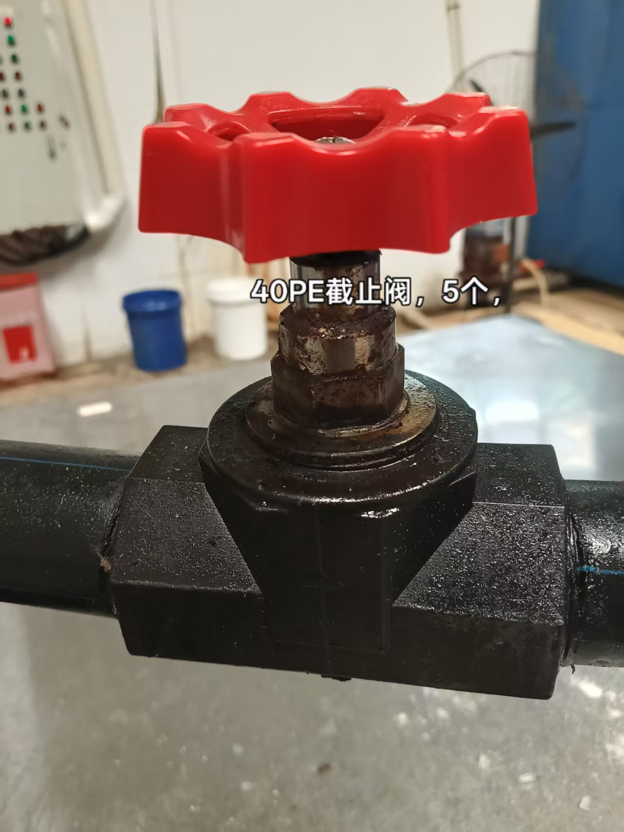 https://public-daqihui-prod.oss-cn-hangzhou.aliyuncs.com/171914/cb2de05d-f856-4e2f-aca0-b913857954cc.jpg